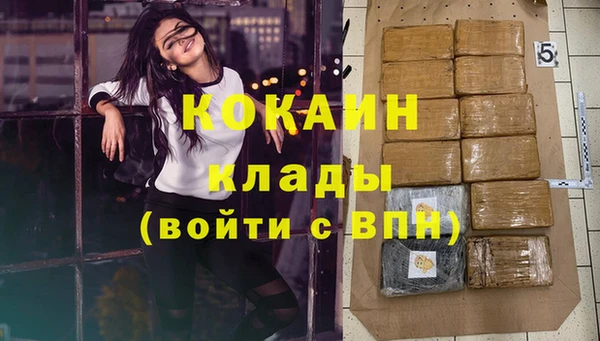 спиды Магас