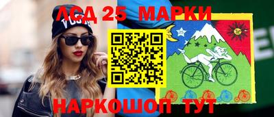 шишки Донской