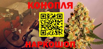 шишки Донской