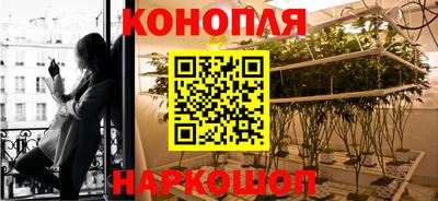 шишки Донской