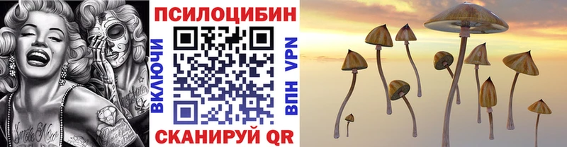 МЕГА   Серпухов  Псилоцибиновые грибы прущие грибы 