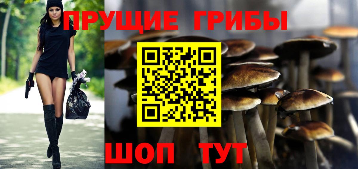 Псилоцибиновые грибы Psilocybine cubensis Серпухов